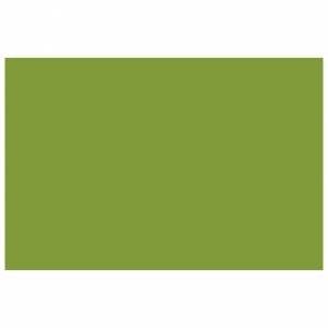 Filc ukrasni A4 pk10 Knorr Prandell 21-8436436 svijetlozeleni