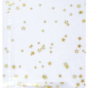 Vrećice ukrasne celofan 18x30 cm sa zvjezdicama pk10 Heyda 20-30892 53 prozirne