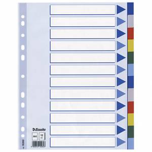 Pregrada plastična A4 kolor 12listova Esselte 15262