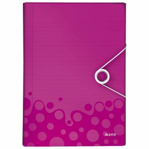 Mapa za kućni budžet 6 pregrada s gumicom pp Wow Leitz 45890123 roza