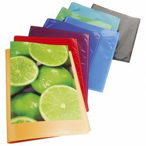 Mapa uložna varena A4 s 20 fascikli "U" i džepom pp Kreacover Exacompta 5720E sortirano