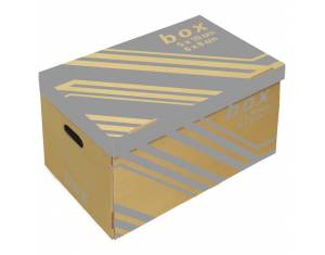 Kutija arhivska-kontejner za 6 registratora s poklopcem Fornax smeđa
