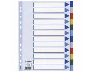 Pregrada plastična A4 kolor 12listova Esselte 15262