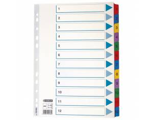 Pregrada kartonska A4 brojevi 1-12 kolor 12listova Esselte 100162