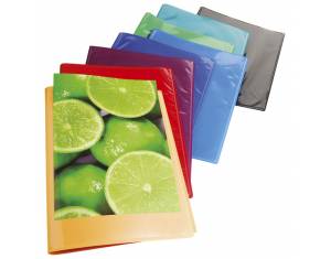 Mapa uložna varena A4 s  20 fascikli 