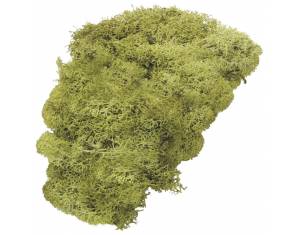 Mahovina islandska umjetna 50g Knorr Prandell 21-6694420 svijetlozelena blister