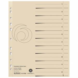 Pregrada kartonska A4 pk100 Herlitz 10840205 (300002742)