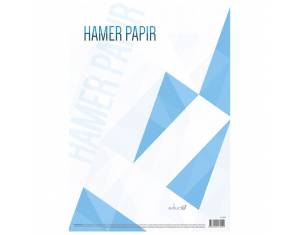Papir Hamer B1 220g pk125 bijeli