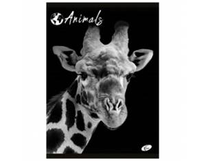 Teka meki uvez A4 crte 40+2L 80g Animal Elisa sortirani motivi