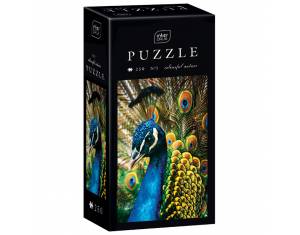 Puzzle 250 kom Colorful nature 1 Peacock Interdruk